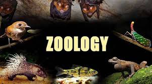 career opportunities -zoology